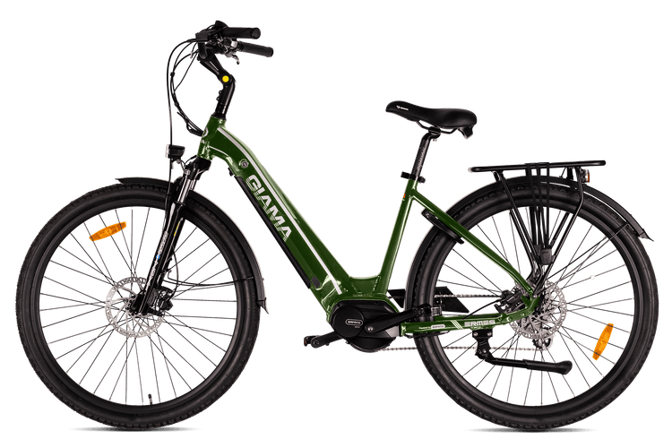 BICI A PEDALATA ASSISTITA
